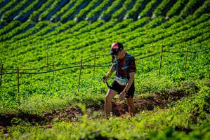 BIB: 206
                            <button type="button" onclick="openModal(19160466)" class="btn btn-primary btn-sm float-right btn-popup" data-toggle="modal" data-target=".modal-high-quality">
                        <i class="fas fa-shopping-cart"></i> Add to Cart
                    </button>
                                            <button type="button" onclick="isThisMe(19160466, true)" class="btn btn-success btn-sm float-right btn-popup btn-isme hidden" data-toggle="tooltip" data-placement="bottom" title="นี่คือรูปของคุณใช่ไหม คลิกที่นี่เพื่อเอาเข้าอัลบั้ม">
                        <i class="fas fa-plus"></i> Add to album
                    </button>
                    <button type="button" onclick="isThisMe(19160466, false)" class="btn btn-warning btn-sm float-right btn-popup btn-isnotme hidden">
                        <i class="fas fa-ban"></i> Remove from album
                    </button>